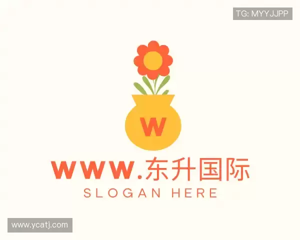 发现东升国际官网